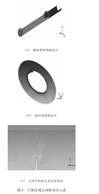 图 5 计算区域及网格划分示意